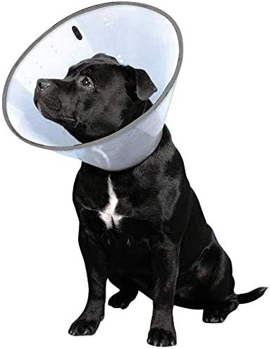 ファンタジーワールド 首輪 Vetカラー グレー 中型犬用 M サイズ Vaniroptik Com Tr