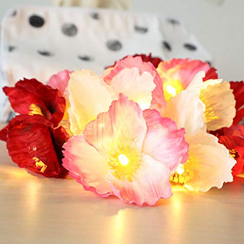 LED Light,coersd Led Flower Light Small Silk Flower Christmas Room Decoration String Light