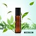 12, 10ml Essential Oils Roller Bottles - Amber, Glass with Stainless Steel Roller Balls by Mavogel (3 Extra Roller Balls, 30 Pieces Labels, Opener, Funnel, Dropper, Brush Included)