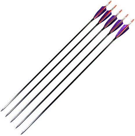 Hunting Archery Carbon Arrows 400 Spine With 4โโ Real Feathers and Replaceable Points Up to 65LB Draw Weight for Recuve/Compound Bow and LongBow (30 Inch Pack of 6)