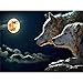 DIY 5D Diamond Painting by Number Kits, Crystal Rhinestone Diamond Embroidery Paintings Pictures Arts Craft for Home Wall Decor (Wolf)