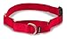 PetSafe Martingale Dog Collar with Quick-Snap Buckle - Petite, 3/8 Inch, Red