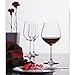 Schott Zwiesel Tritan Forte Claret Burgundy Wine Glass (Set of 6)