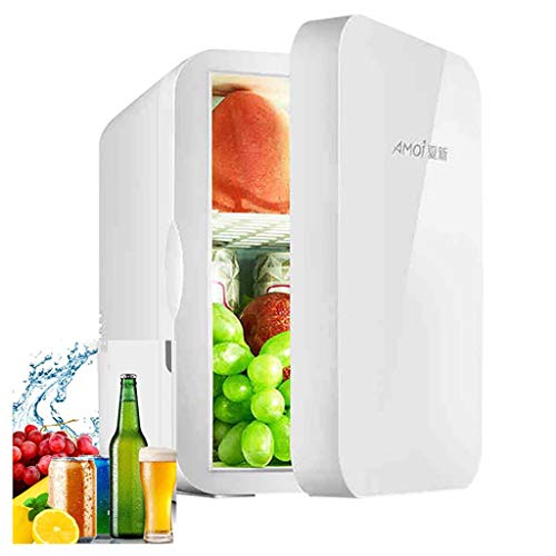 Mini Fridge 6 Liter Skincare Fridge with Temperature Control AC/12V