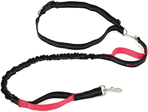 Hands Free Dog Leash By Family Bulliez – Adjustable Waist To Perfectly Fit Most – Lengthy Bungee Leash For Freedom Of Movement – 2 Sturdy Handles For Maximum Control – Safety Reflective Material