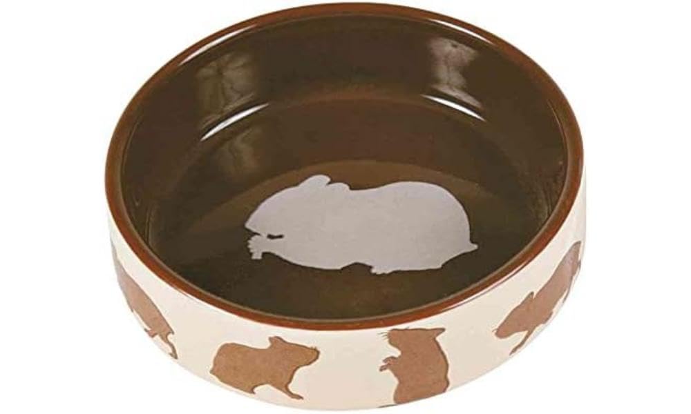 TRIXIE TX-60733 Ceramic Bowl for Rabbit, 250 ml, 11 cm, [April 21, 2023, Multicoloured, Rabbit