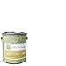 Inspired Semi-Gloss Interior Paint, Bisque .01, Gallon