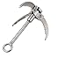 DEWEL Grappling Hook Outdoor Survival Gravity Carabiner with 3 Folding Sawtooth Claws Multi-function Collapsible Stainless Steel Anchor for Climbing, Hiking, or Tree Limb Removal