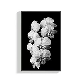 Canvas Wall Art for Living Room, Bedroom Plants Framed Canvas Prints for Home Decoration Ready to Hang - 16x24 inches