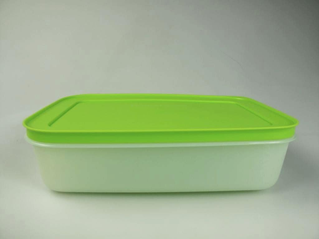 TUPPERWARE Contenitore Pinguino da 1,0 L bianco verde 14168 Amazon.it