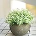 THE BLOOM TIMES 2 Pcs Fake Plants for Bathroom/Home Office Decor, Small Artificial Faux Greenery for House Decorations (Potted Plants)