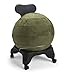 Gaiam Balance Ball Chair Covers