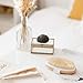 Belula Dry Brushing Body Brush. Medium Soft Dry Brush for Cellulite and Lymphatic. for Beginners. Exfoliating Skin Brush and Free Konjac Sponge, for a Softer, Glowing Skin