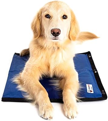 amazon dog products