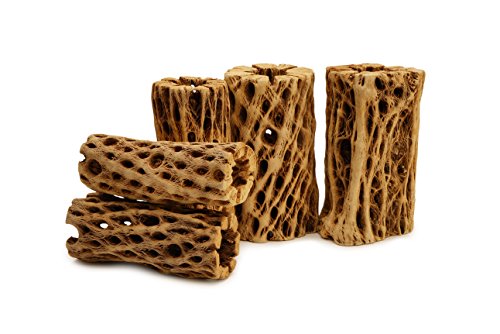 NilocG Aquatics Chain Fruit Cholla Wood | 2x 6 Long Huge Hollow Cholla Wood (6" Long 2-3" Wide)