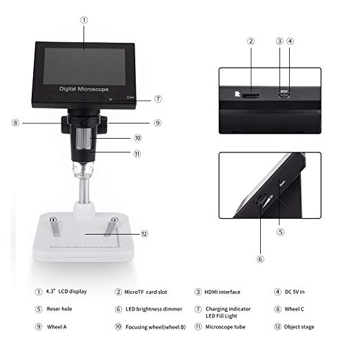 4 Microscope+WACCIU+Magnification+Insectobservation+Identification