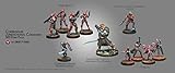 Infinity Corregidor Jurisdictional Command 300 Pt Pack (280017)