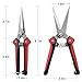 WYF Pruning Scissors, Professional Garden Shears – Straight Stainless Steel Blades – Sharp Gardening Hand Pruner for Garden Harvesting Fruits, Vegetables, Trimming Flowers and Plants, 8.1IN(Red)thumb 3