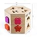 Darius 15 Holes Hexagonal Intelligence Box Shape Matching Blocks
