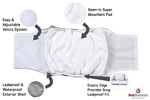 pet parents washable dog belly bands