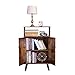 HOOBRO Storage Cabinet, 2-Tier Bookcase with Doors, Display Shelf Storage Unit in Living Room, Study Room, Entryway, Wood Look Accent Furniture, Rustic Brown BF01CW01