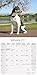 Rat Terrier Calendar 2017 - Dog Breed Calendars - 2016 - 2017 wall calendars - 16 Month by Avonside
