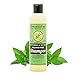 Beessential Sulfate Free Shampoo, Peppermint Tea Tree, 8 Ounce