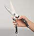 Premium Poultry Shears by Dahlia - Heavy Duty Stainless Steel Spring Loaded Shears - Sharp Blade - Safety Clip - Rust Free - Comfortable Handle - Great for Poultry, Fish, Chicken, Beef, BBQ & Plastic