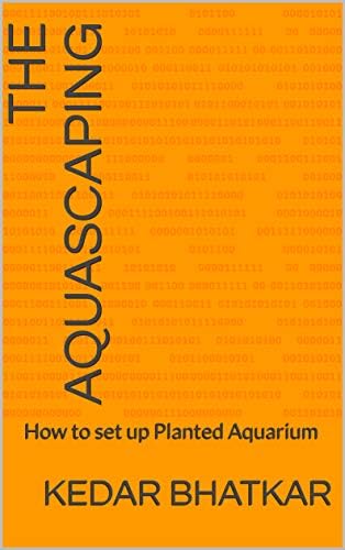 The Aquascaping: How to set up Planted Aquarium