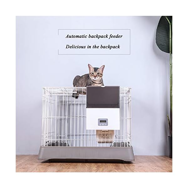automatic dog crate