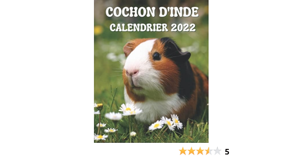 Calendrier 2023 Cochon Amazon.com: Cochon D'inde Calendrier 2022: Calendrier Mensuel 2022 Avec Des  Images De Magnifiques Cochons D'inde (French Edition): 9798457671348:  Calendrier, Bella Adeline: Books