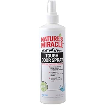 nature's miracle skunk odor remover petsmart