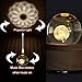 Amperer 3D Crystal Ball Music Box Dandelion Luminous Rotating Musical Box with Projection LED Light and Wood Base Best Gift for Birthday Christmas (6# Dandelion)
