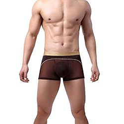 Laxier 2 Pack of Men Boxer Briefs Transparent