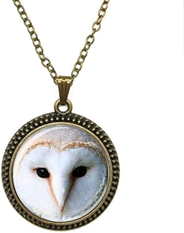 Fashion Necklace Pendant Jewelry Animal Barn Owl Glass Dome Cabochon Steampunk Bronze Necklace