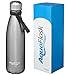 AquaFlask Insulated Double Wall Stainless Steel Water Bottle with Handle (Glossy Stainless Steel, 16-Ounce)