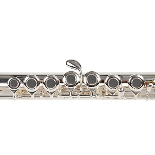 Lexington Advanced Silver Plated Closed Hole C Flute with Carrying Case - Thumbnail 5