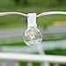 G40 White Globe Lights Outdoor / Indoor String Lights with 100 Sockets and Bulbs, 100 Feet with 20 Extra Bulbs - Weather Resistant Light String for Patio, Deck, Backyard, Wedding, and More