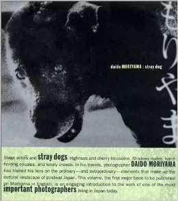 Amazon.com: Daido Moriyama: Stray Dog: 9780918471505: Alexandra