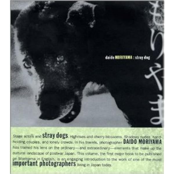 Amazon.com: Daido Moriyama: Stray Dog: 9780918471505: Alexandra