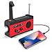Baiwka Emergency Solar Hand Crank Radio, AM/FM/NOAA Weather Radio with LED Flashlight, 2000 mAh Power Bank, SOS Alarm, Reading Lamp for Household Emergency, Tornadoe, Hurricane, Storm (Green)