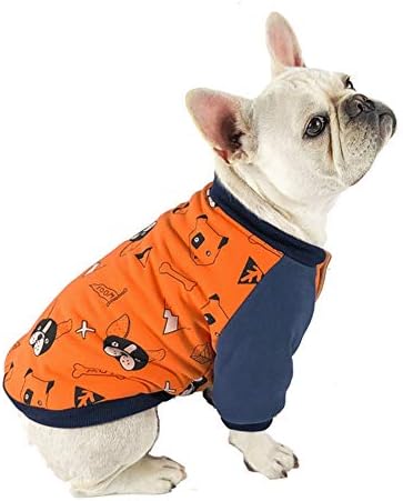 正規品送料無料 おもちゃ 新しいペットコットン二足歩行服 犬服テディ小型犬秋と冬服用品 オレンジ色 L 100 品質保証 B0814jcrsy 新作製品 世界最高品質人気 シューズ バッグ ペット用品 激安超特価 お気に入り即出荷 犬