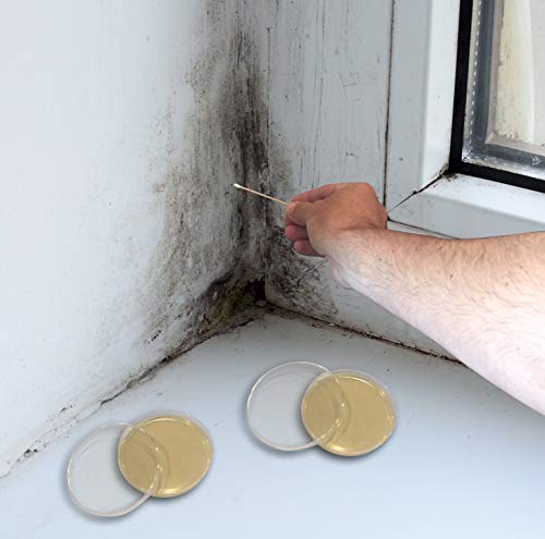 2 Potato+Dextrose+Agar+Plates+Prepoured