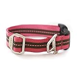 Kurgo Wander(TM) Dog Collar, Large, Honeysuckle Pink
