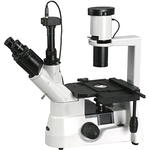 AmScope IN300TC Biological Inverted Microscope
