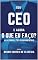 Livro Sou CEO e agora?: O que faz um CEO.