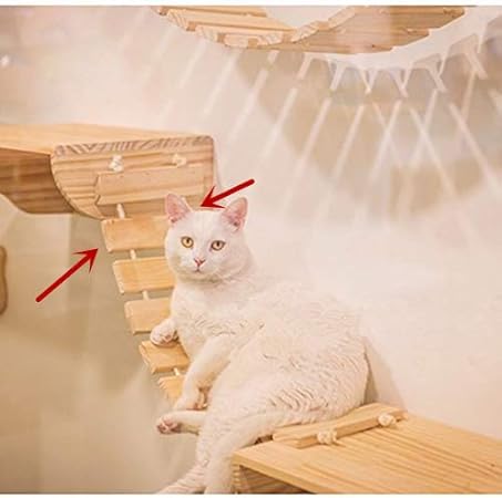 cat ladder amazon