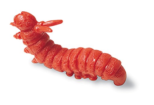 Learning Resources Backyard Bugs Counters - 72 Pieces, Ages 3+ Counting and Sorting Toys for Toddlers, Preschool Learning Toys