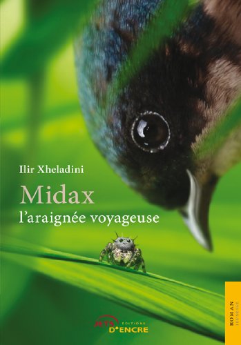 Midax l'araignée voyageuse