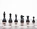 DGT Smart Board WI + Plastic Weighted Pieces - Electronic Chess Set - WI